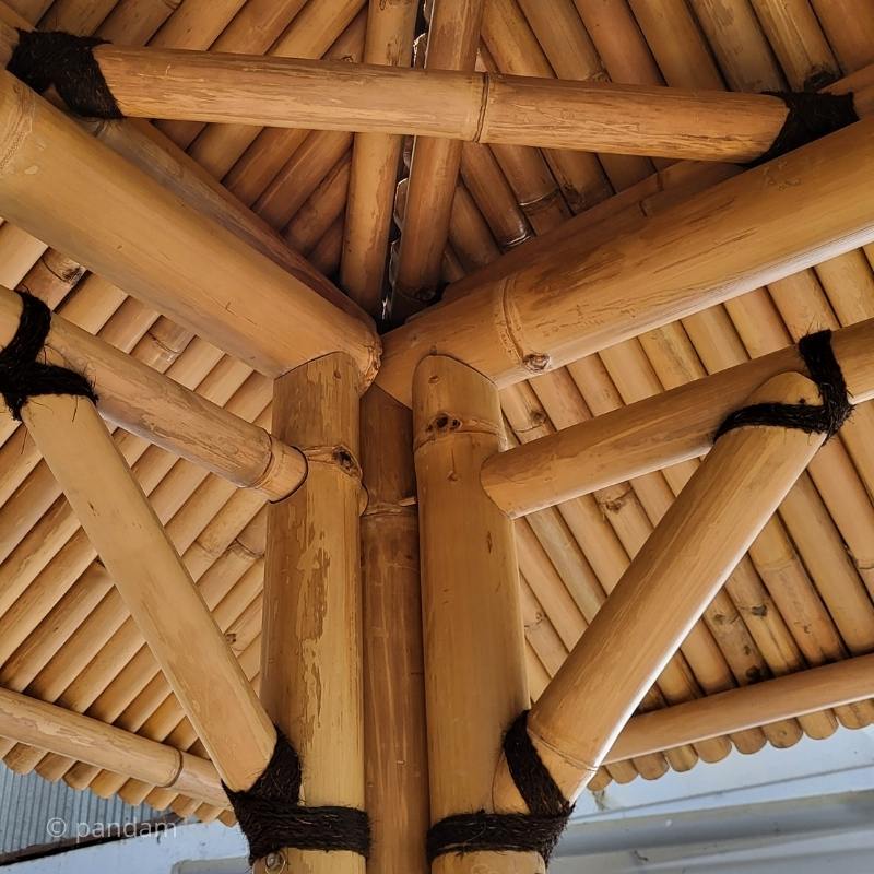 Assemblaggio canne di bambu di grande diametro