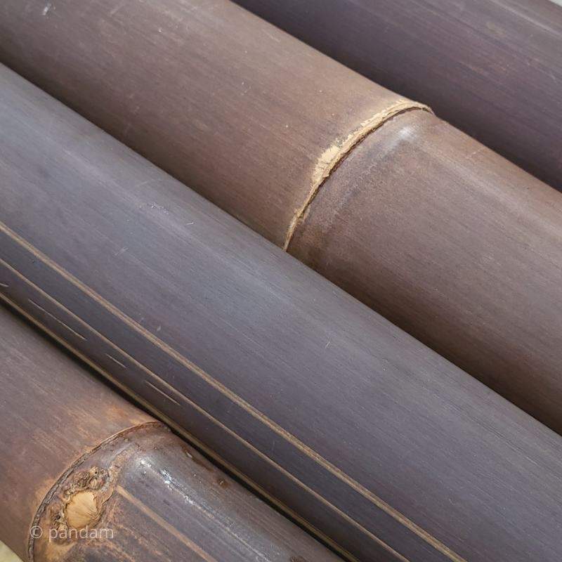 Canna di bambù nera 1