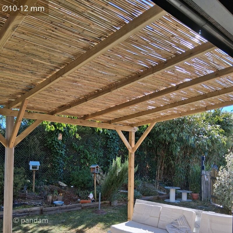 Canniciato in bambu su pergola