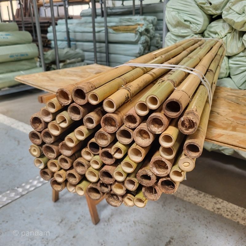 Canniccio in bambu a grosso diametro