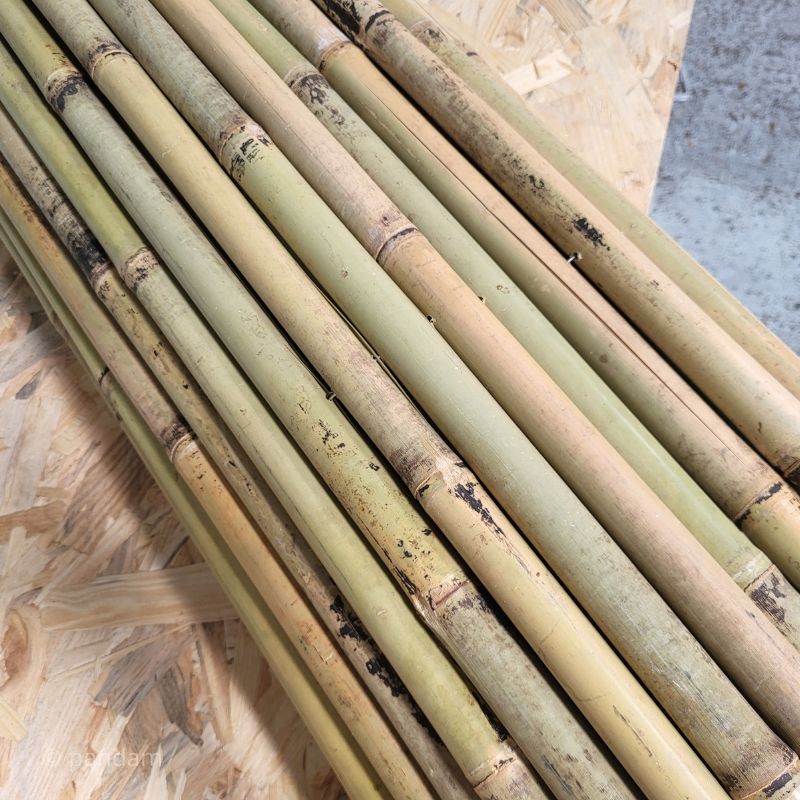 Canniccio in bambu a grosso diametro 2