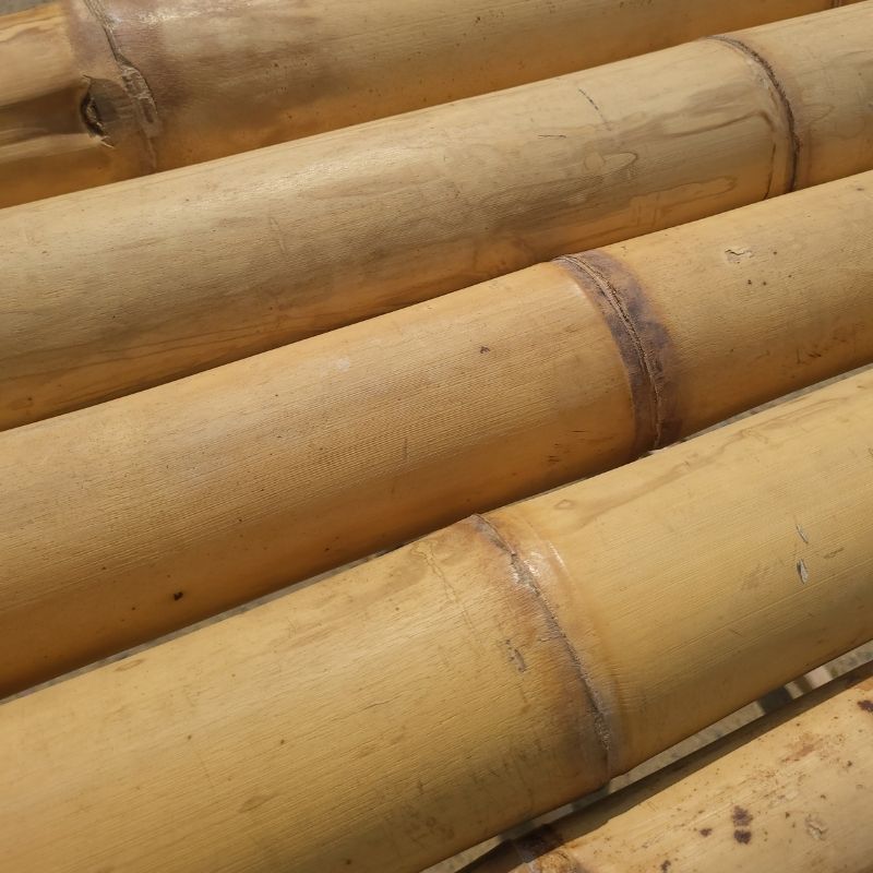 Costruzione in bambu