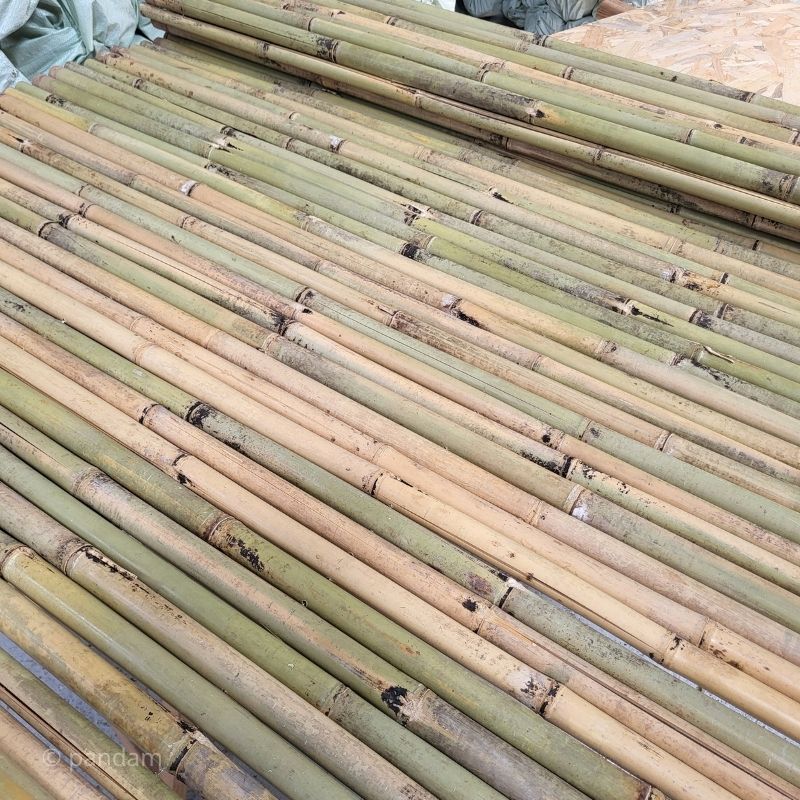 Frangivista naturale in bambu