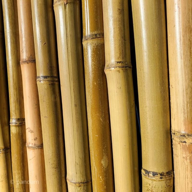 Pannello in bambù naturale