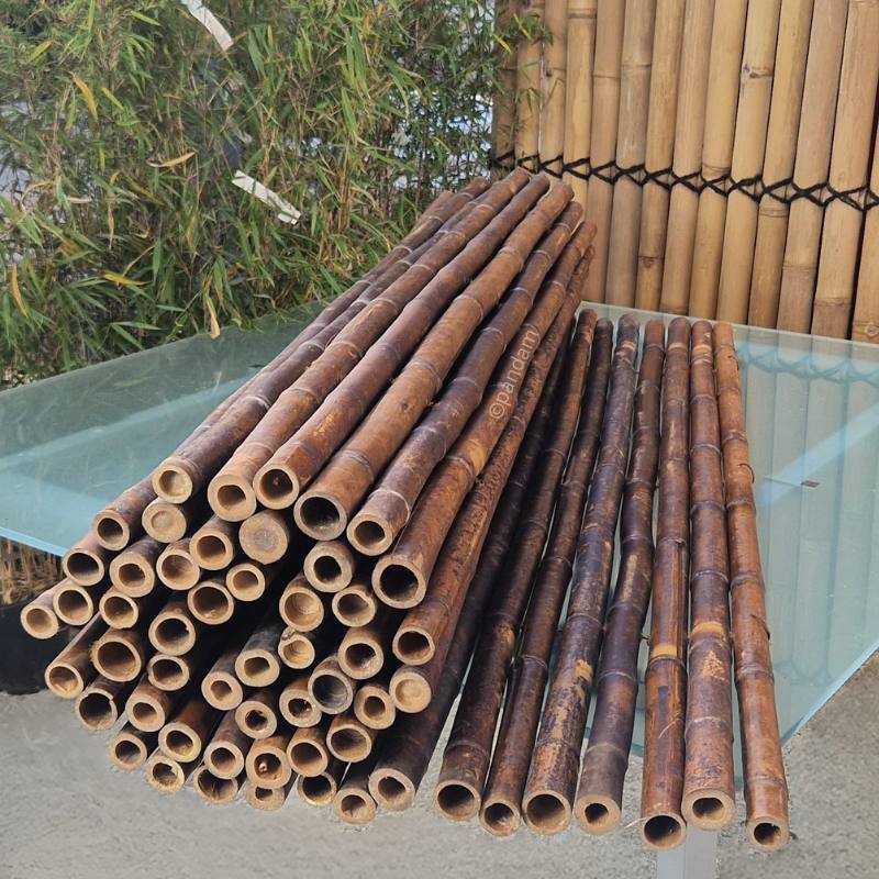 Recinzione di bambù nero