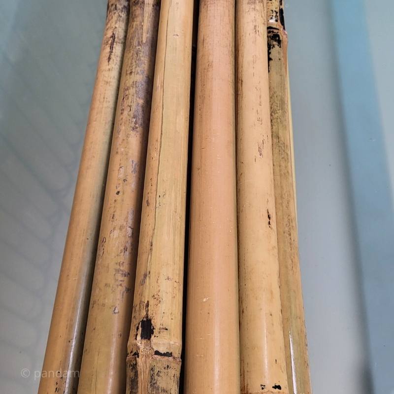 Tutori di bambù 3M | Lotto da 10 a 1000+ unità