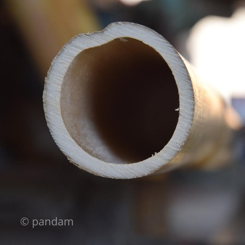canna di bambu segata