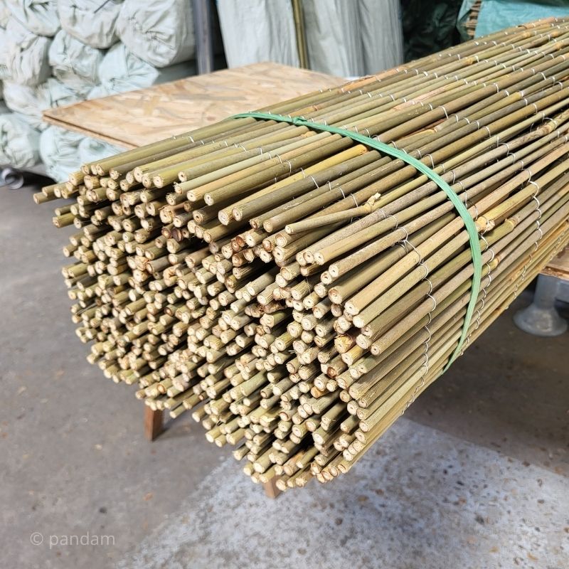 canniccio in bambù intero