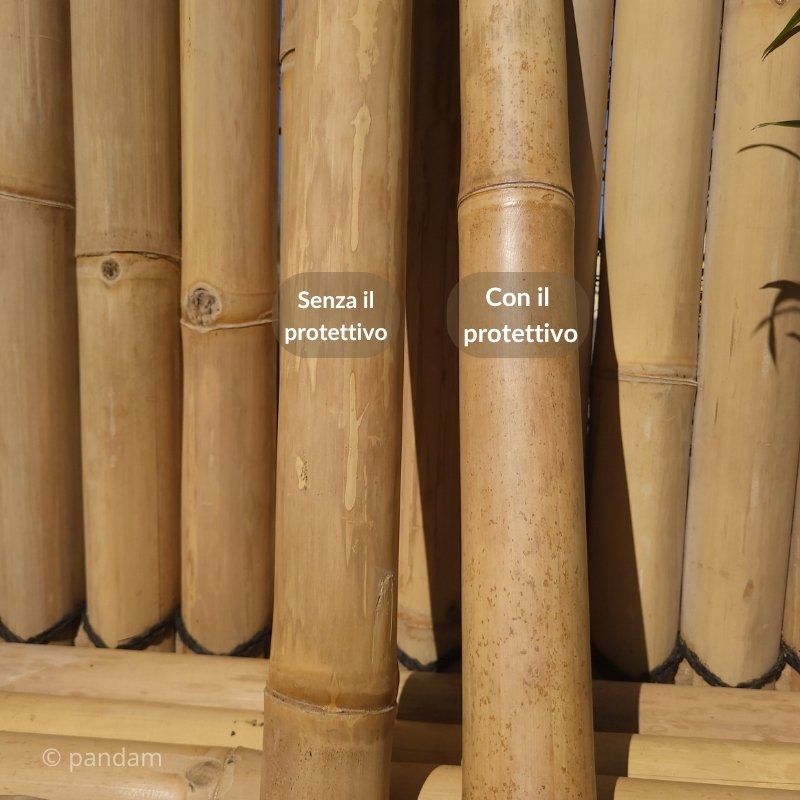 protettivo bambu