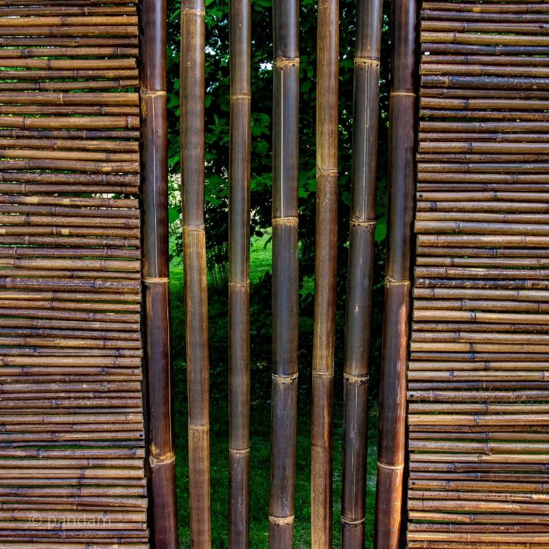 Recinzione in bambù nero