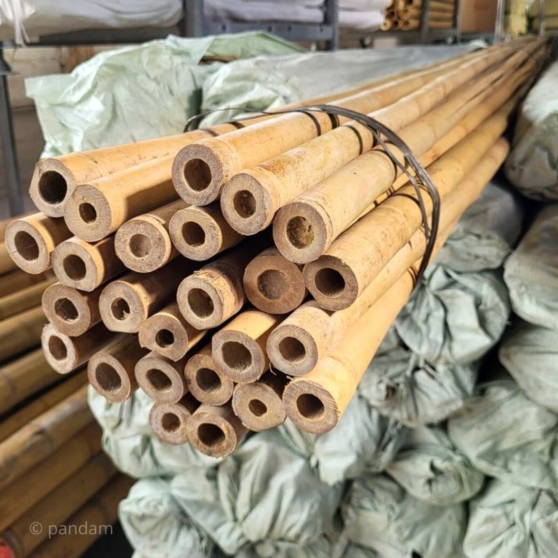 tutori bambù 4 metri