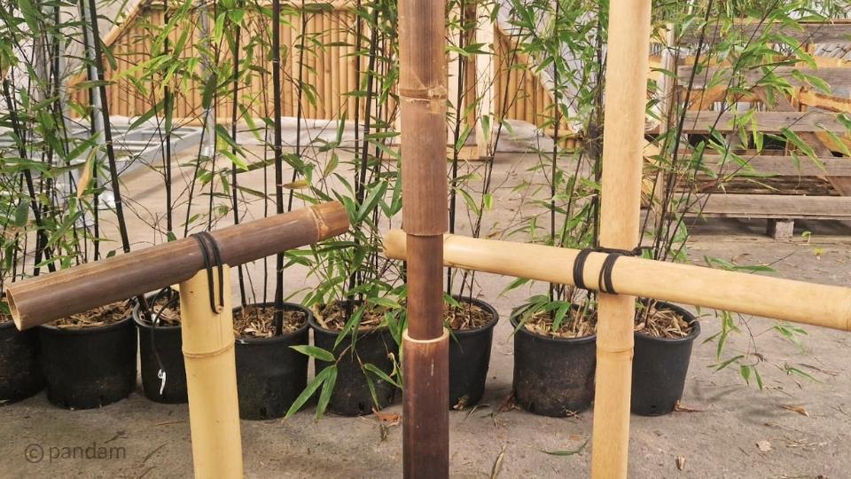 Come legare le canne di bambù? 3 tecniche illustrate