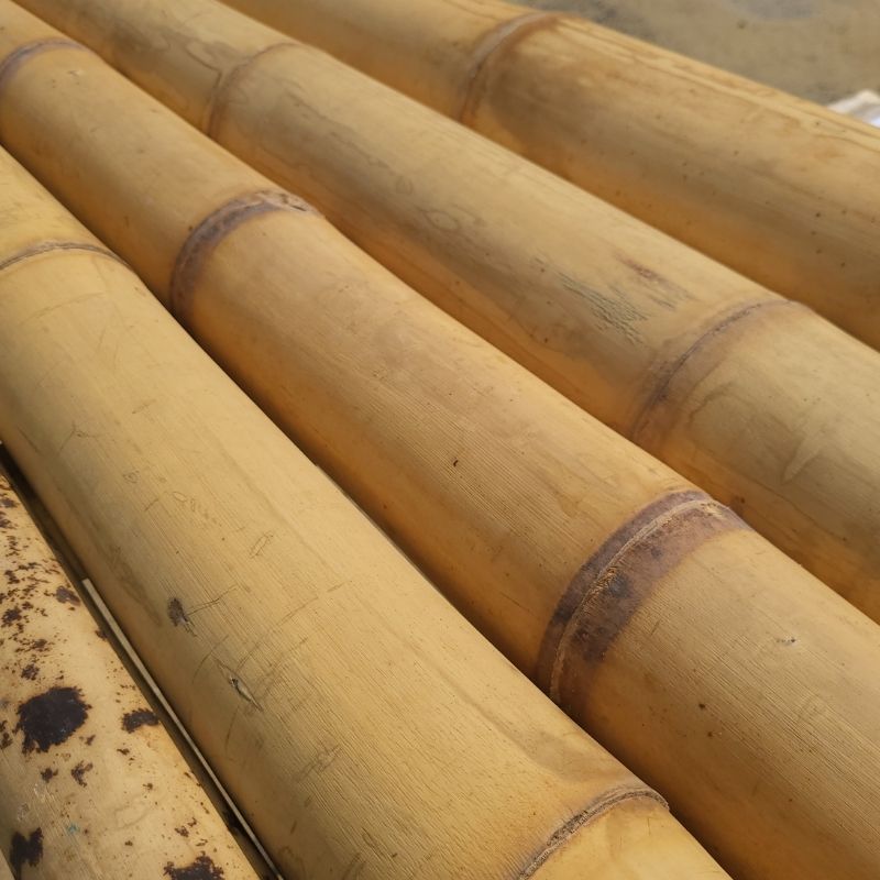 Bambu da costruzione