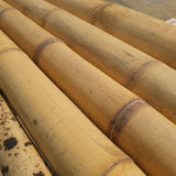 Bambu da costruzione