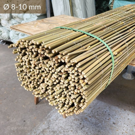 Canniccio in bambù intero