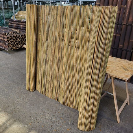 Canniccio in bambù tonchino per pergola