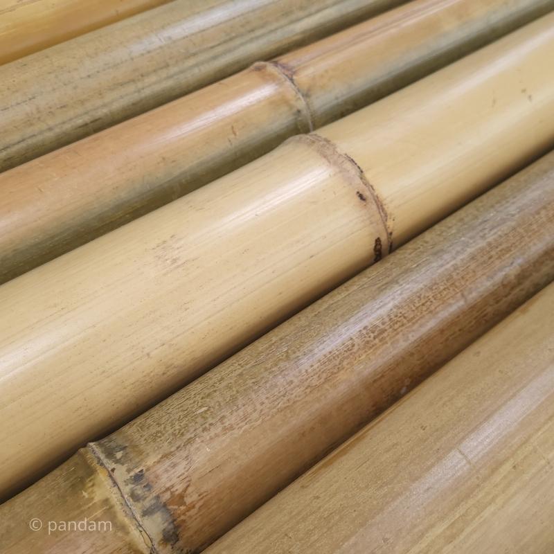 canna di bambu naturale