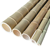 Canne di bambù naturale (Moso)