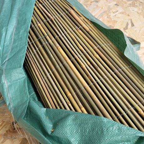 canniccio in bambù tondo