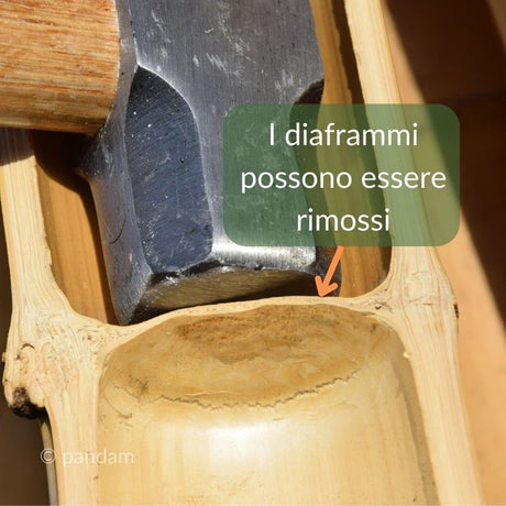 Canna Di Bamboo Per Orto Agricoltura - Stocker 210 Cm - Foto 7