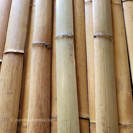 listelli di bambu