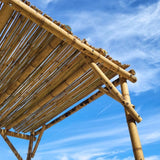 pergolato bambù