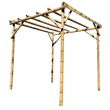 pergolato con bambù