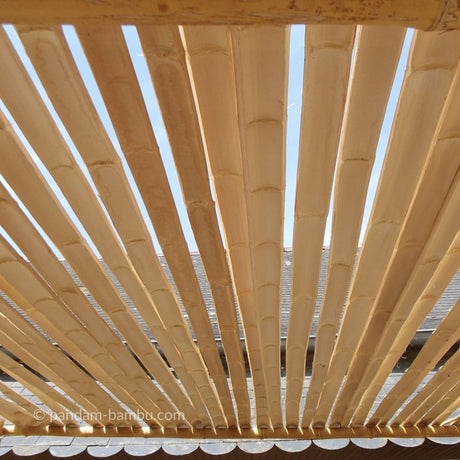 listelli bambu pergola