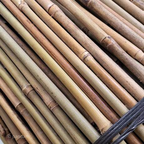 Suinga Set di 100 Tutori in Bambù per Piante 100 cm (8-10 mm) – Canne di Bambù, Supporti per Ortaggi, Pomodori, Alberi e Giardinaggio Suinga Set di 100 Tutori in Bambù per Piante 100 cm (8-10 mm) – Canne di Bambù, Supporti per Ortaggi, Pomodori, Alberi e Giardinaggio