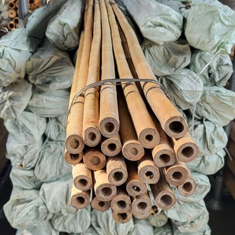 Set di 100 Tutori in Bambù per Piante 120 cm (10-12 mm) – Canne di Set di 100 Tutori in Bambù per Piante 120 cm (10-12 mm) – Canne di