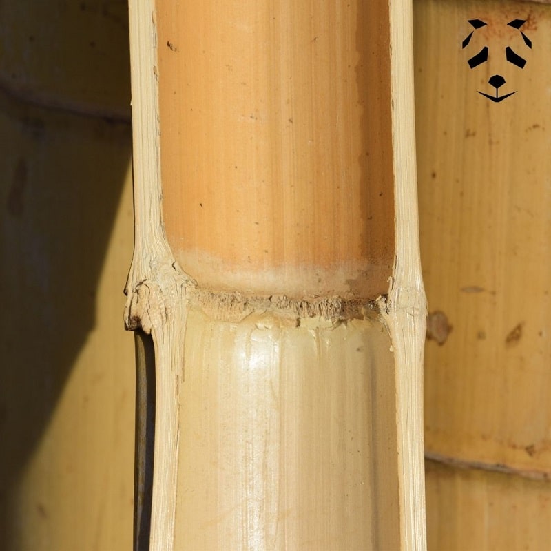 Martello rotondo per la rottura dei diaframmi di bambù